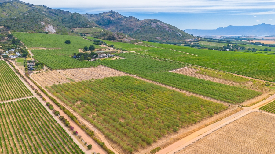 4 Bedroom Property for Sale in Paarl Rural Western Cape